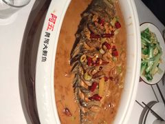 -阿五黄河大鲤鱼(纬三路店)