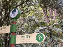 -莫里热带雨林景区