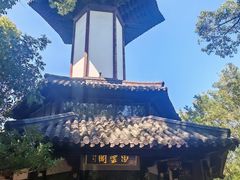 -上海佘山国家森林公园天马山园