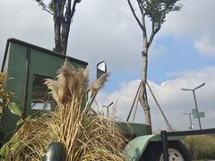 -中国天府农业博览园