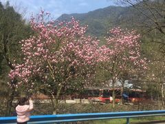 -宁波五龙潭景区