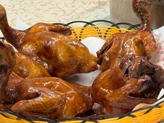 -百利鸽王(紫薇路店)