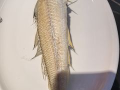 -吴记富苑(朝阳店)