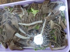 -金石老面坊·渔家菜(金石滩店)