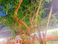 -小街47號江湖菜(四合院店)
