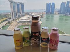 -新加坡丽思卡尔顿美年酒店