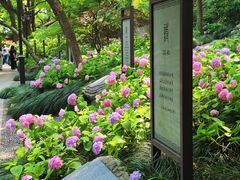 -城隍阁
