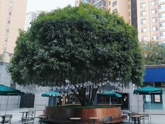 -星巴克臻选(长沙运达中央广场店)