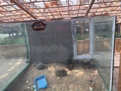 -万源龙顺度假庄园生态观光园