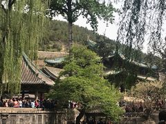 -晋祠公园