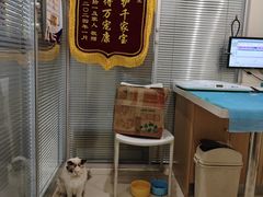 -美迦爱-牙专科·兔科·骨科诊疗中心(北苑店)