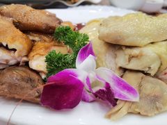 -柳饮·春柳酒家