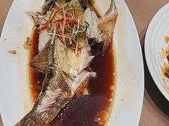 -7号院家宴.烧鸽子(门头沟店)