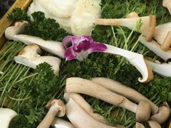 -慢丽江·云南野生菌土鸡锅(西山店)