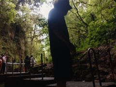 -怀托摩萤火虫洞