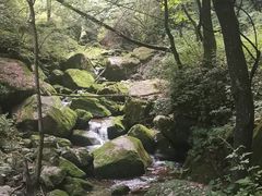 -陕西省红河谷森林公园
