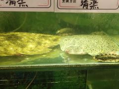 水产区-蓝珊甄选海鲜自助·火锅大排档(近阿那亚店)