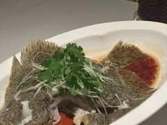 -顺峰(农展馆店)
