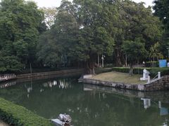 -荔湾湖公园