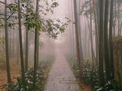 -缙云山景区