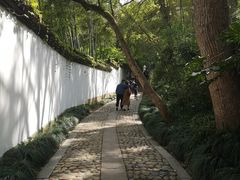 -杭州黄龙洞