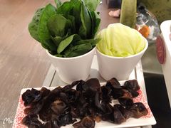 黑木耳-密友回转自助火锅(中海环宇城店)