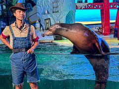 -三亚海昌梦幻海洋不夜城