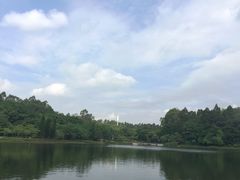 -南国桃园旅游度假区