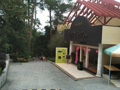 -广州市流溪河国家森林公园