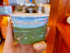-蒙醇鲜酿酸奶