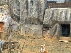 -武汉动物园