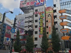 -秋叶原电器街