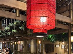 -老凯俚酸汤鱼(多彩城店)
