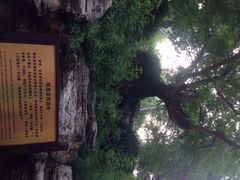 iphone_upload_pic-景山公园