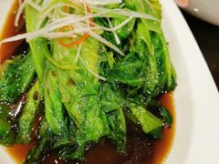 白灼罗马生菜-西安烤鸭店(369烤鸭王店)