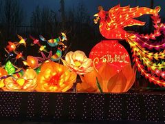 -北戴河集发农业梦想王国