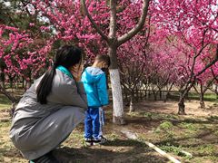 -大兴滨河森林公园