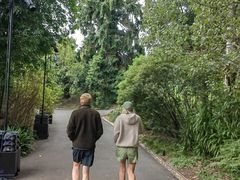 -墨尔本皇家植物园