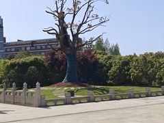 -上海交通大学(闵行校区)