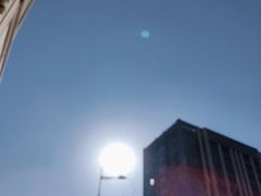 -金星公园