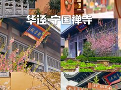 -龙华寺