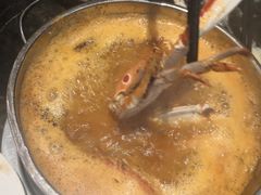 -吉布鲁牛排海鲜自助(龙湖北城天街购物广场店)