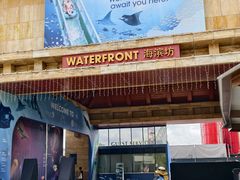 -新加坡水上探险乐园