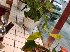-蛙一刀·麻椒鱼火锅(金仙桥店)