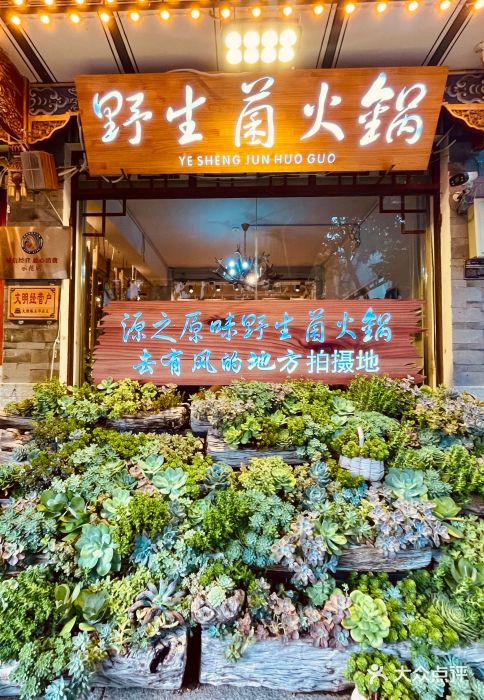 源之原味·野生菌火锅(大理古城店)图片