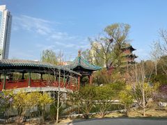-迎泽公园