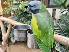 -南宫五洲植物乐园