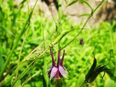 -碓臼峪自然风景区
