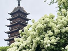 -常熟方塔园