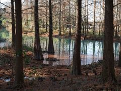 -西溪国家湿地公园